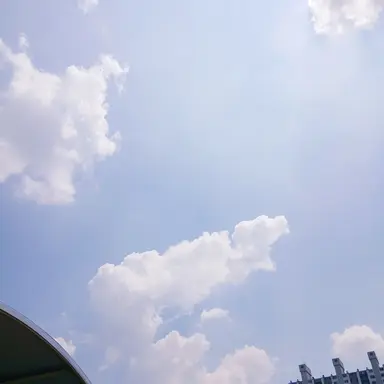 Profile image of 연희