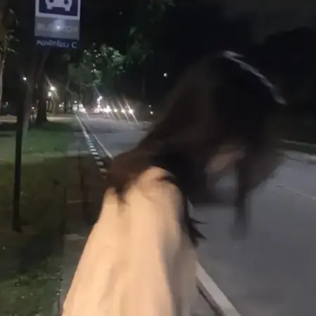 Ube의 권 율