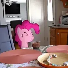 StuffyFlare9539의 My Little Pony IRL