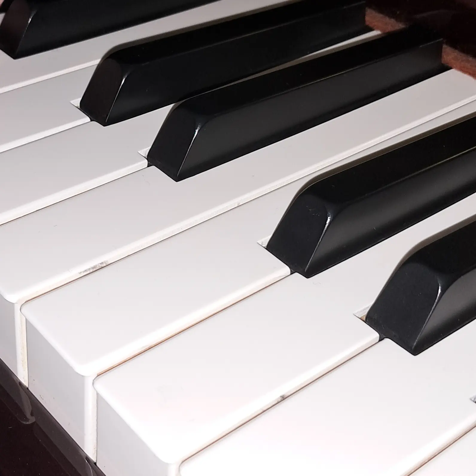 slaveofdarling의 노바시아 민중해방군