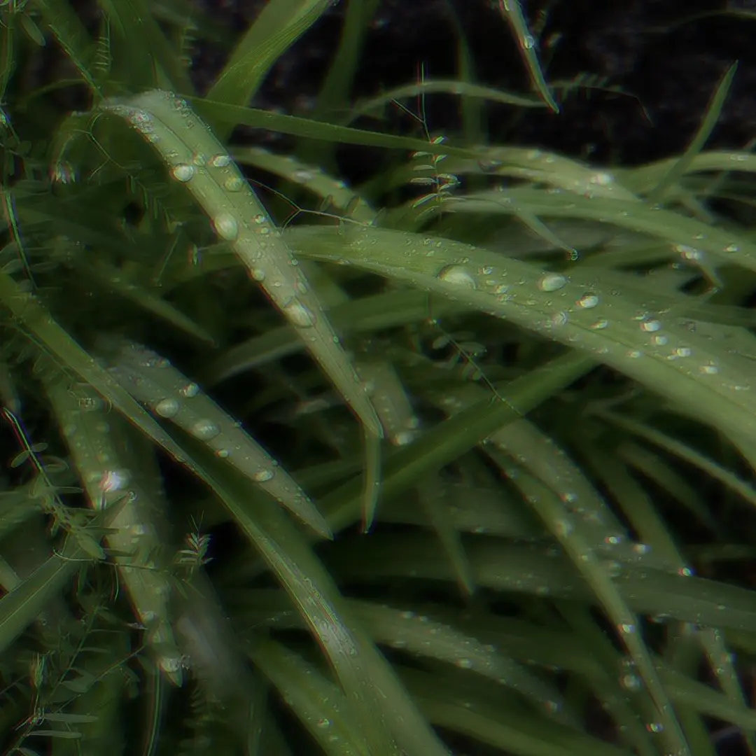 TmtGrt511의 🐈‍⬛