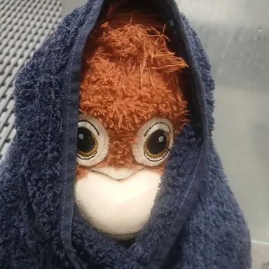 Profile image of 침숭이