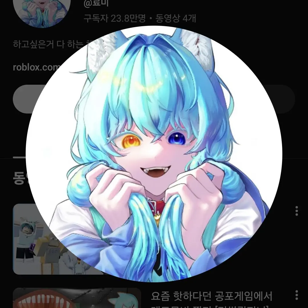 JustBelt6467의 유튜버 수인