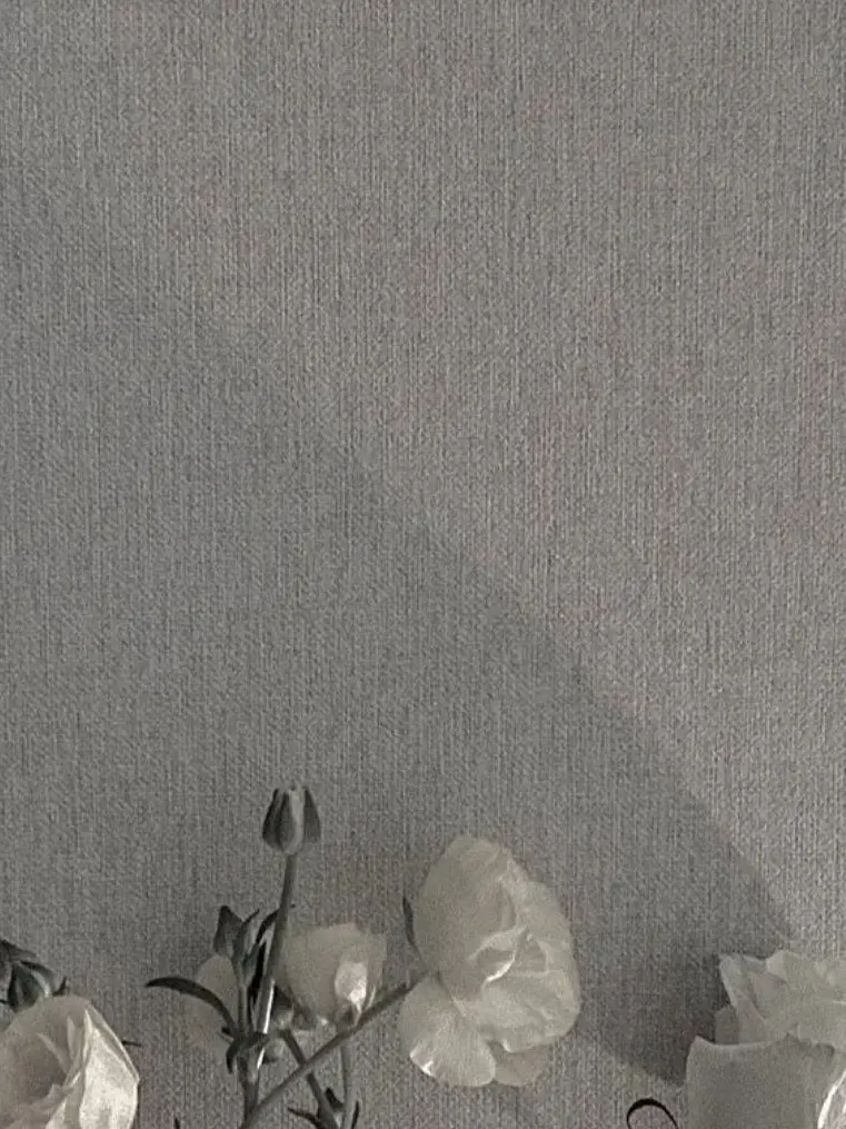 Px.의 あなたはとても嫌いです。