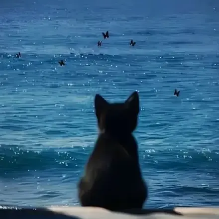 xokn21.14의 南真琴