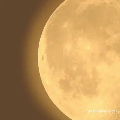 Profile image of 각별 경장