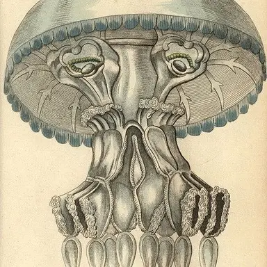 Profile image of 무
