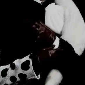 Profile image of Mr.ダルメシア
