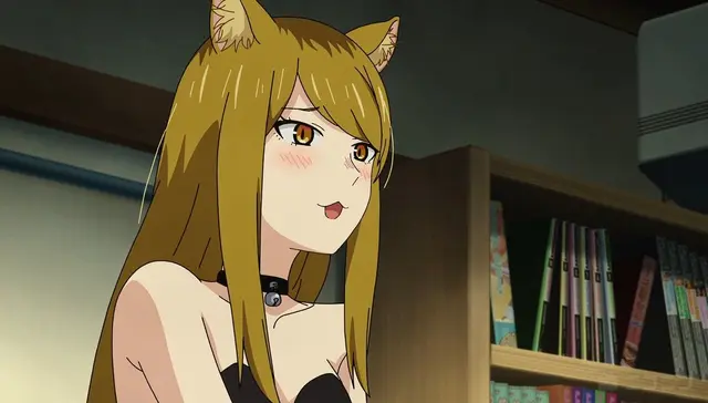 Profile image of 칸사이네코