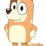 Profile image of Chily heeler