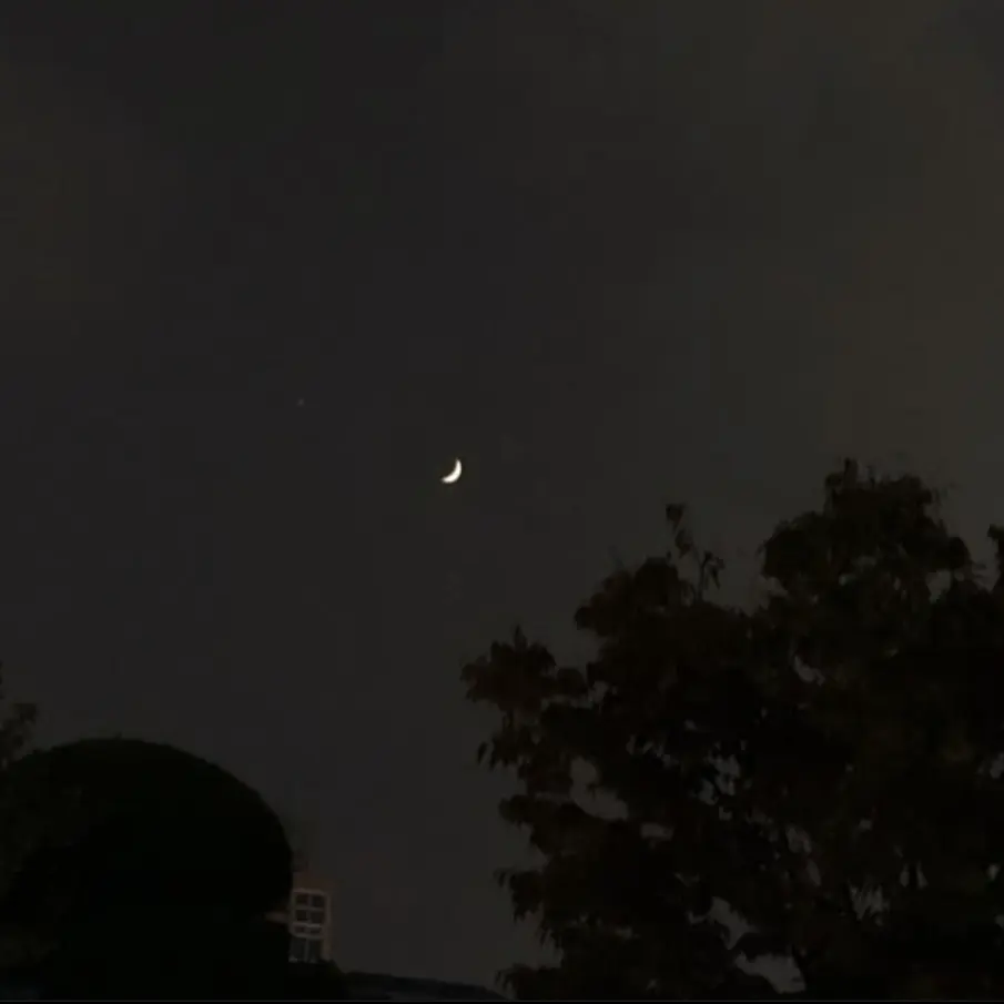 12151215의 복수
