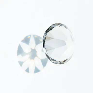 Profile image of 레일리