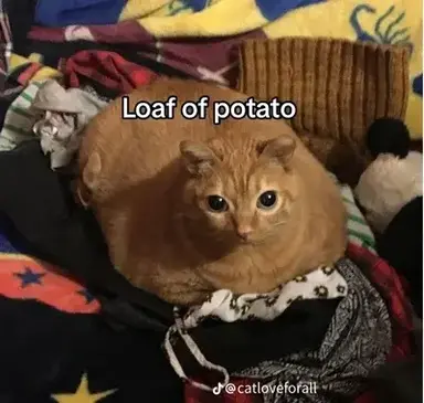 Profile image of Sprunki