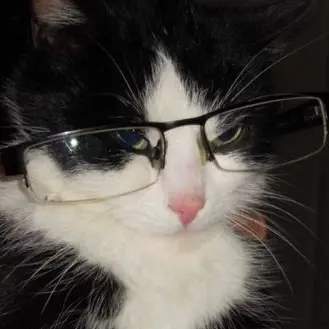 Profile image of じふん