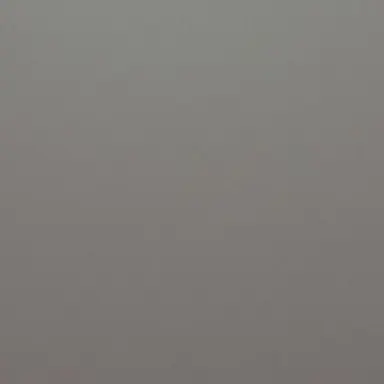 Profile image of 메카 게스트
