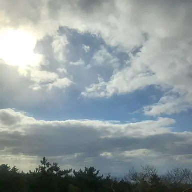 Profile image of 방귀고문