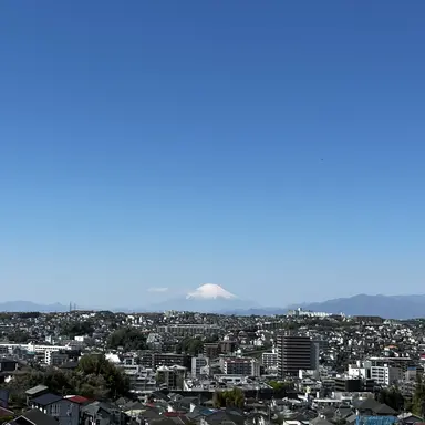 Profile image of ケチャップユーザー