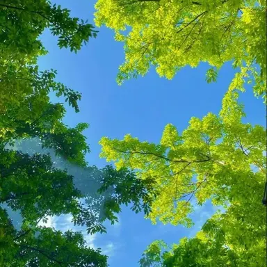 Profile image of 정공룡