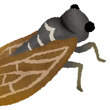 Profile image of セミ