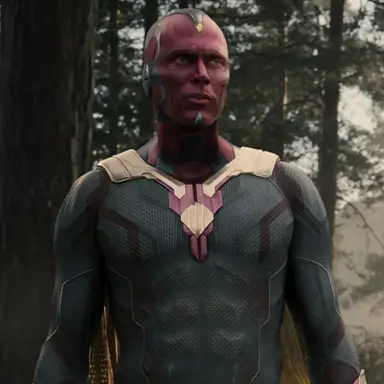 Profile image of Vision