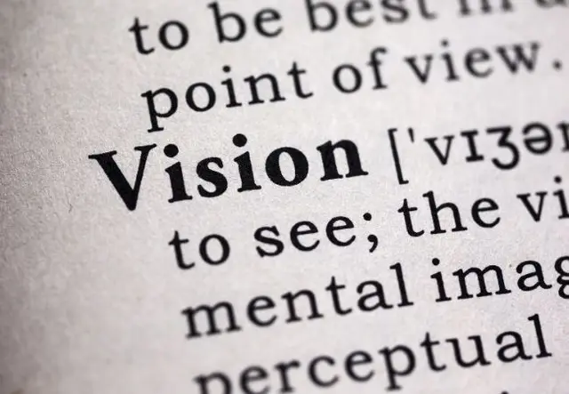 Profile image of Vision