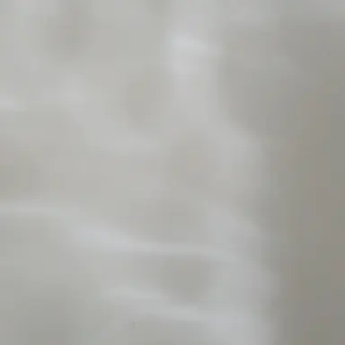 Profile image of 원도아