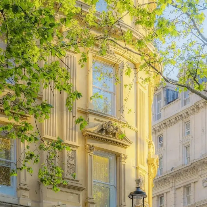 HappyCoati0036의 0911