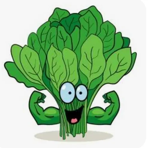 spinach의 시금치