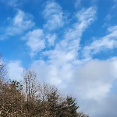 Profile image of 감제이