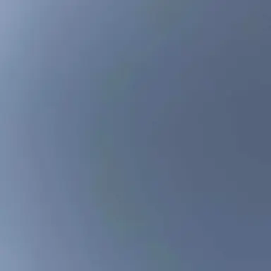 Profile image of 김애리