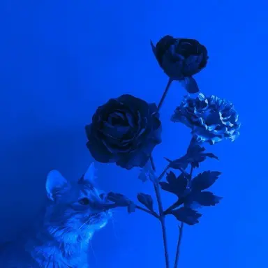 Profile image of 잠뜰