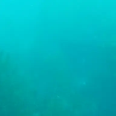 Profile image of 단포