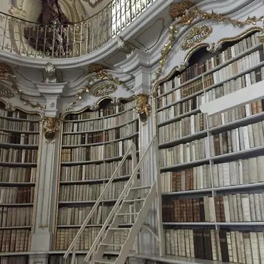 Profile image of 권지용