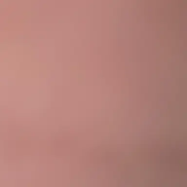 Profile image of 다키
