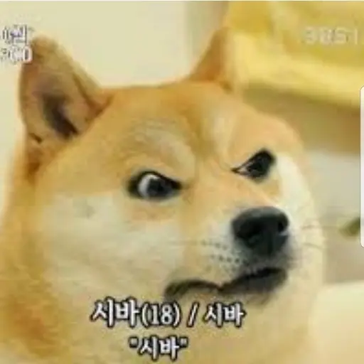DourFlour6407의 바견이