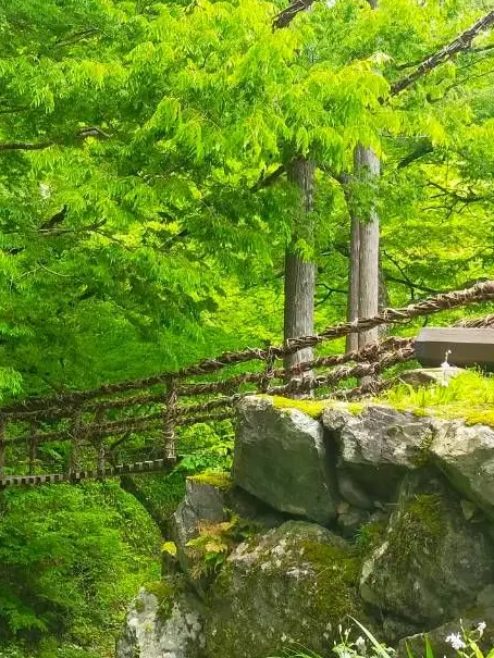 Library_Of_RuinanoChesedLove의 キャラ濃すぎる四年生の五人