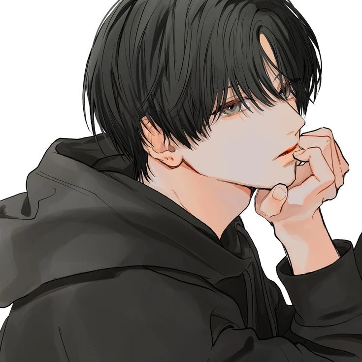 律