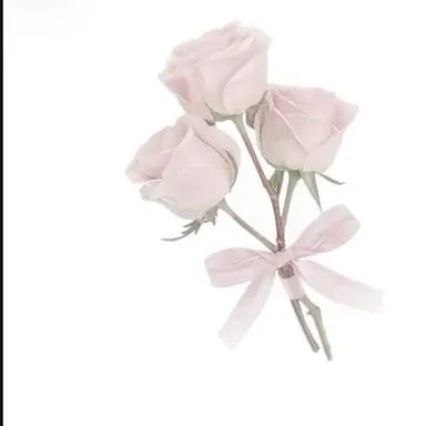 Profile image of Ellie