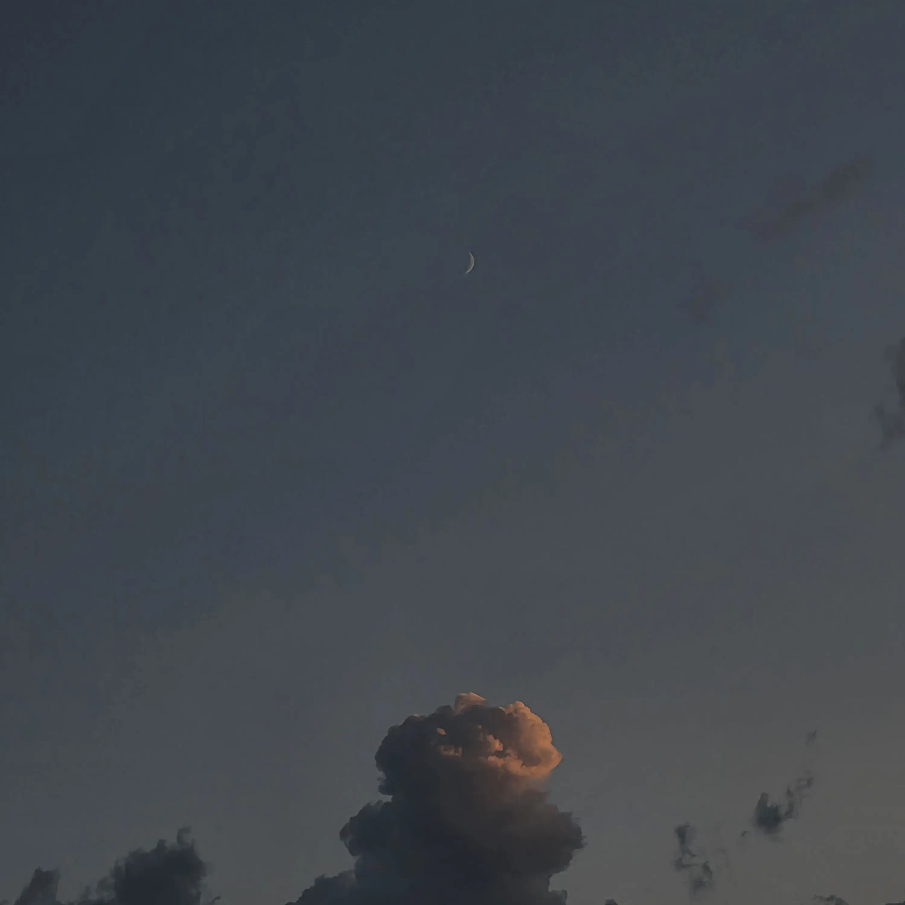 SnugIndri0601의 뜰팁 히어로-여우