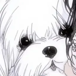 Profile image of 白い犬のぬいぐるみ