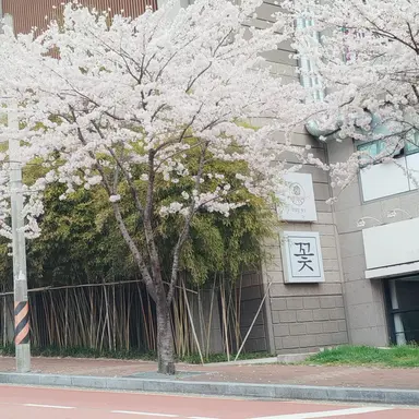 Profile image of 여우