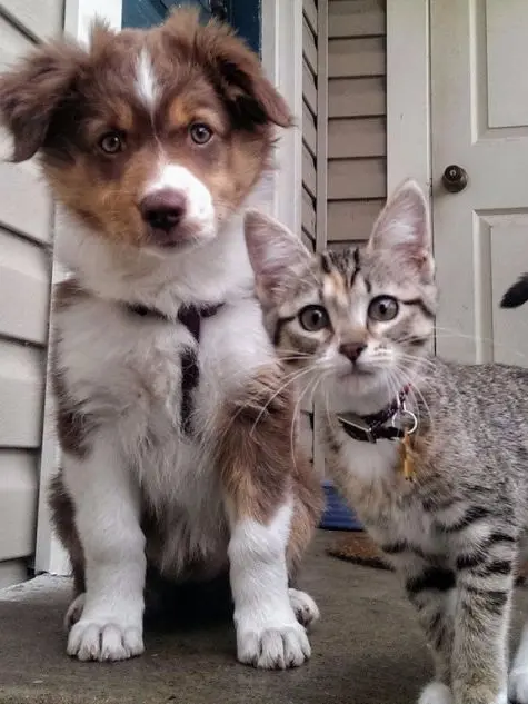 BlandTetra8819의 妖怪に魅入られた2人♡