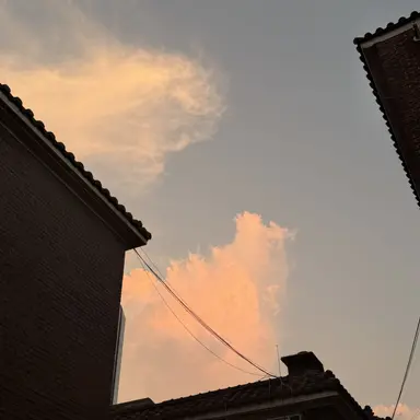 Profile image of 정산