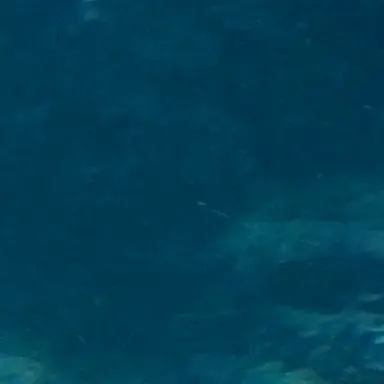 Profile image of アクアマリーナ