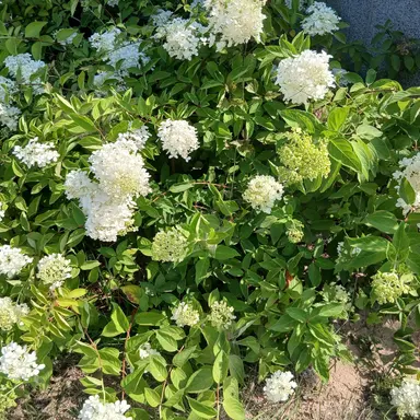 Profile image of 유기사