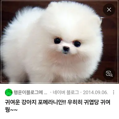 Profile image of 엄지