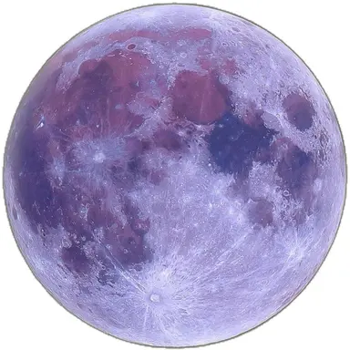 Profile image of 長尾景