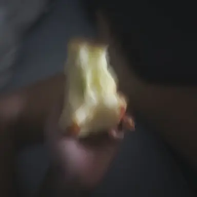 Profile image of 선생님