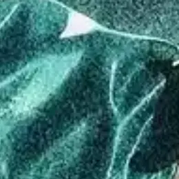 Profile image of 大森 元貴