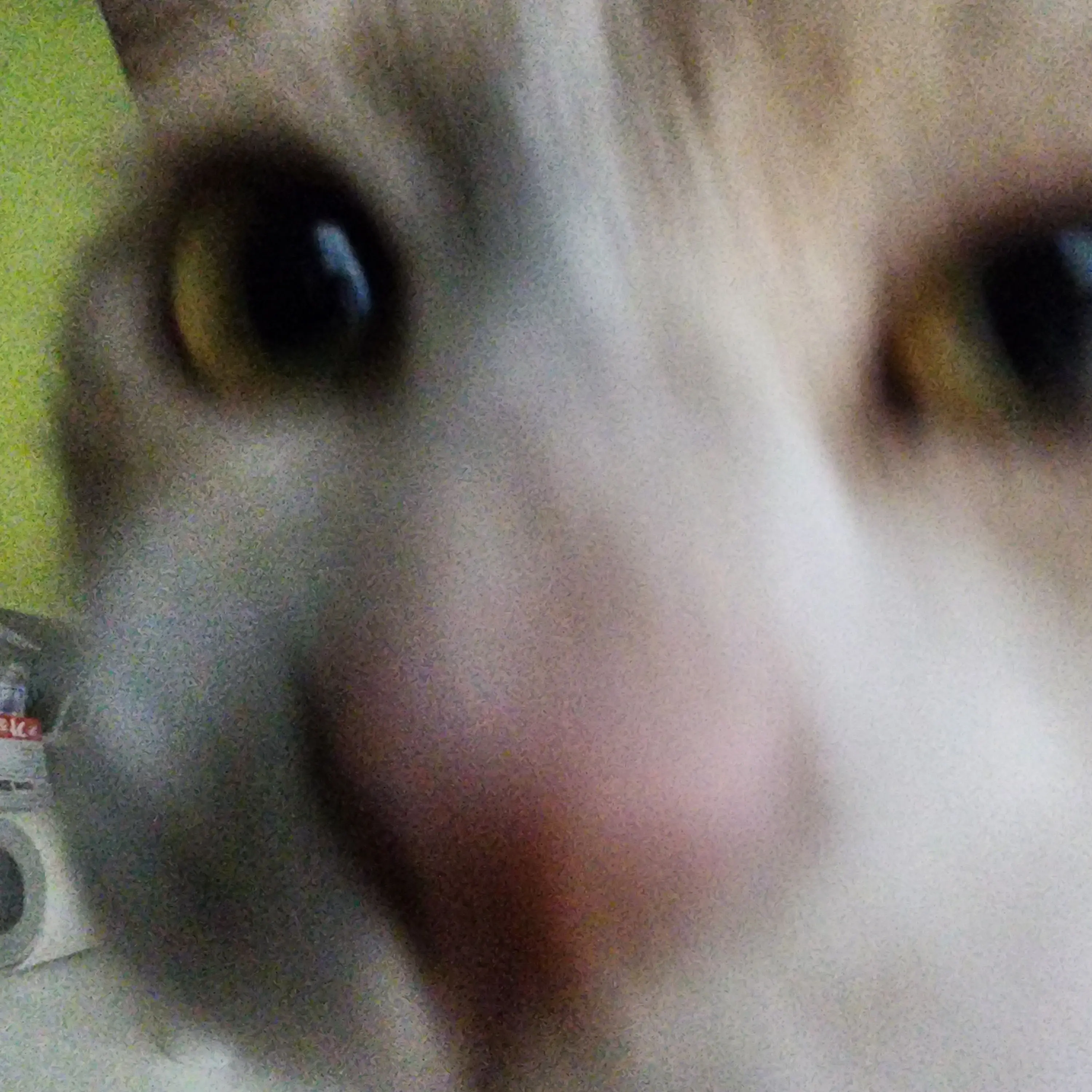 MightyQuail6650의 챙이
